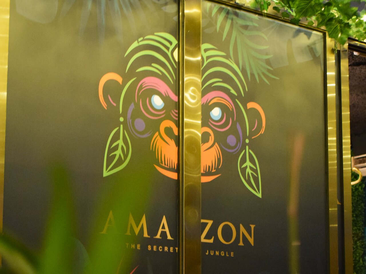 Amazon The Secret Jungle