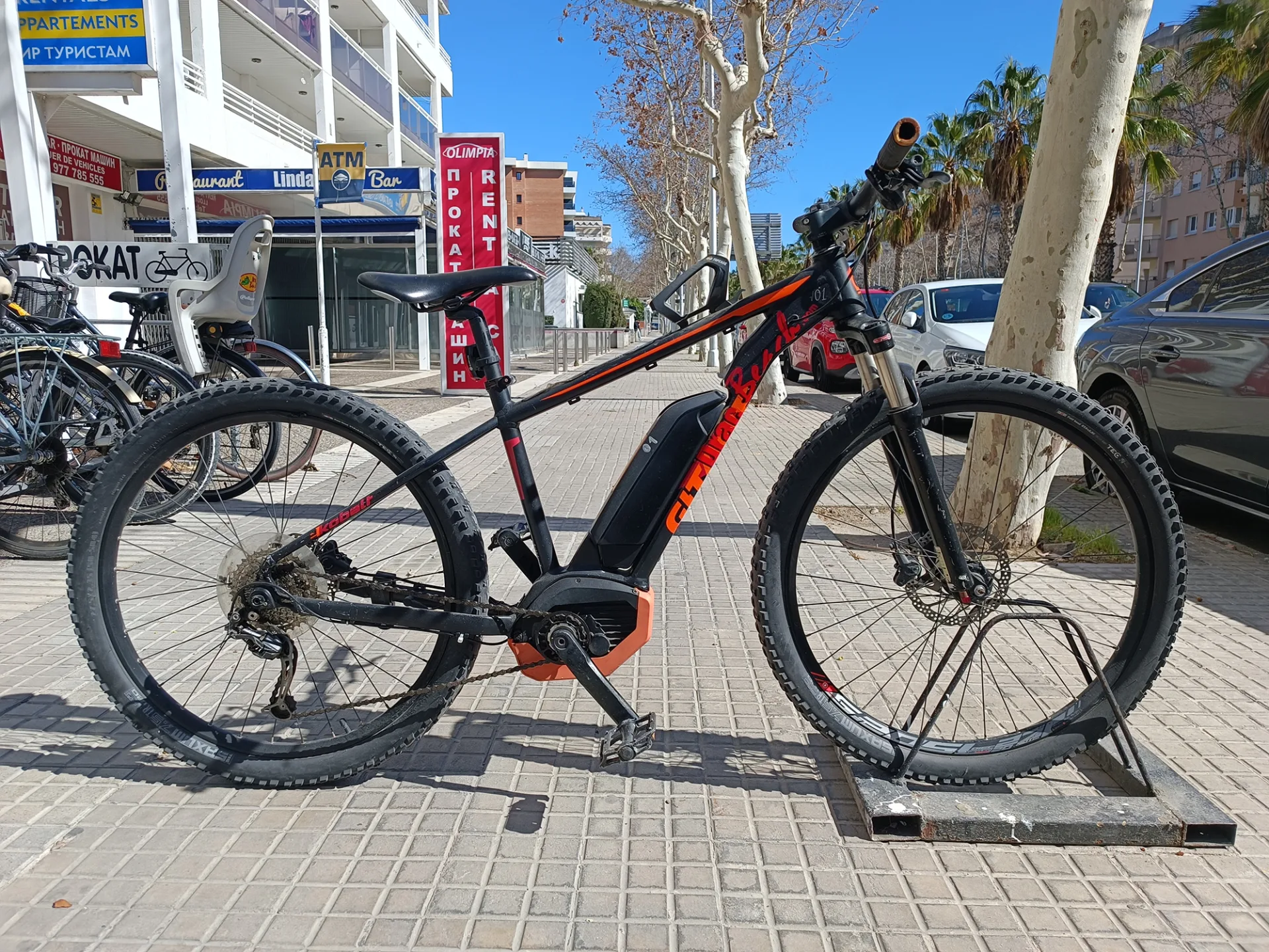 All Terrain Ebike (MTB)